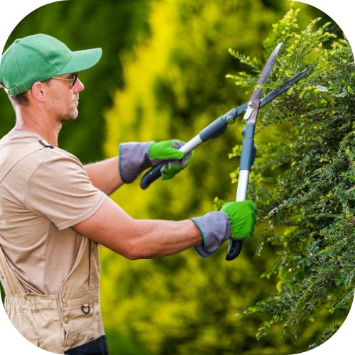 empresa de jardinería relizando un mantenimiento a los jardines